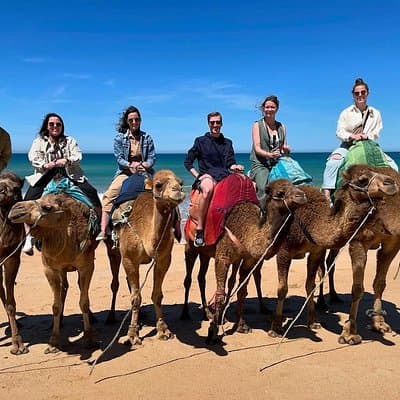 4 hour private Tour of Tangier