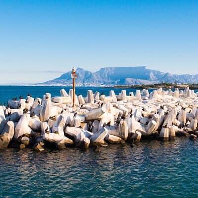 Guided Robben Island Historic Prison Tour with Pickup & Drop-off
