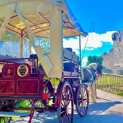 Killarney Jaunting Car Tour