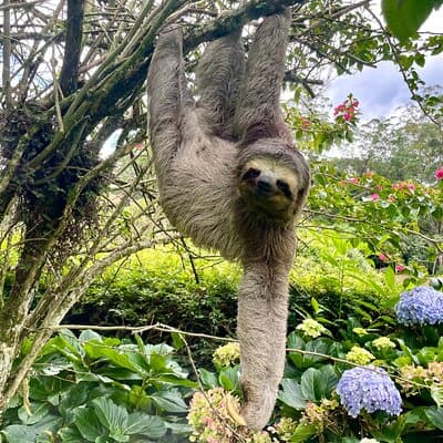 Rio: Tijuca Rainforest Hike, Wildlife, Waterfalls & Caves