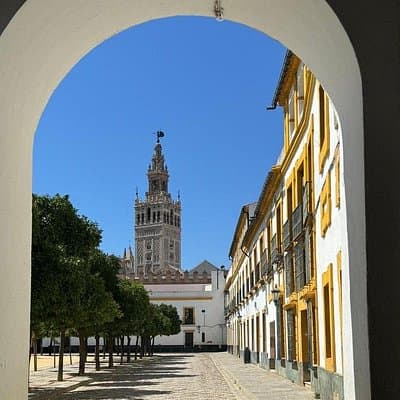 Cathedral Tour of Seville Giralda and Barrio Santa Cruz All in One