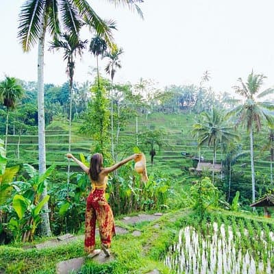 Ubud: Waterfall, Rice Terraces, and Monkey Forest Private Tour