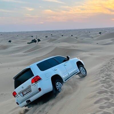 Abu Dhabi Desert Safari with Camel Ride BBQ Dinner and Live Shows