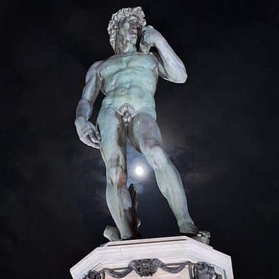 Timed Entrance to Galleria dell'Accademia David's Statute