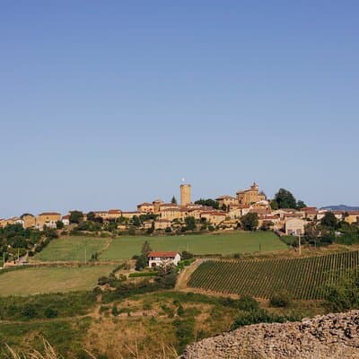 Golden stones Beaujolais Wine Tour with Tastings from Lyon