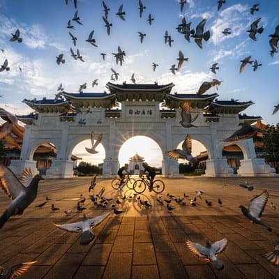 Taipei City Morning Tour with National Palace Museum entry