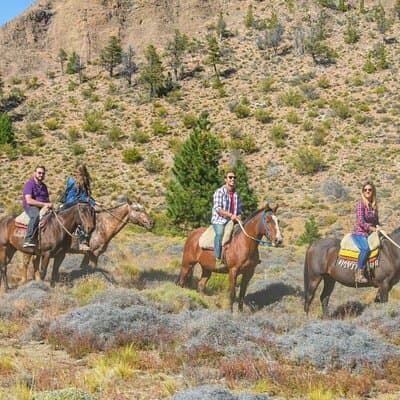 Bariloche Horseback Riding in the Patagonian Steppe with Argentine Roast