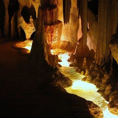 Brisbane Tamborine Mountain Hop-On Hop-Off + Skywalk & Glow Worms