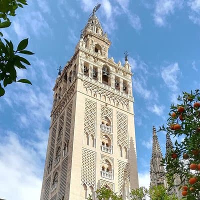Small Group Tour to Cathedral and Giralda Direct Entrance