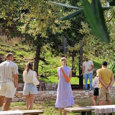 North Corfu Olive Tour With Olive oil Tasting & Meze