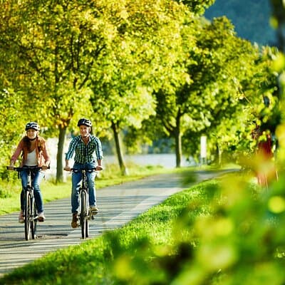 Bicycle Picnic Boat Tour from to Cochem Private Tour
