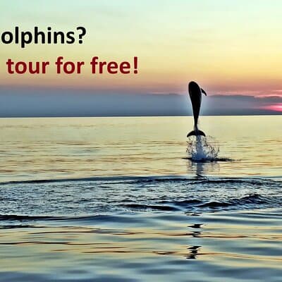 Dolphin Watching Sunset Speedboat Tour with Drinks in Rovinj