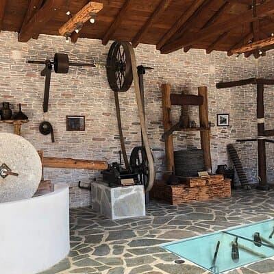 The Governor's Olive Mill Tour with Olive Oil Tasting