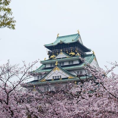 Osaka Castle & Samurai Tour: Entry Included Option