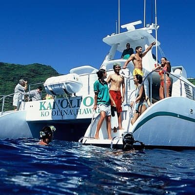 Luxury Snorkel Cruise with Dolphin Watch and Hawaiian Meal