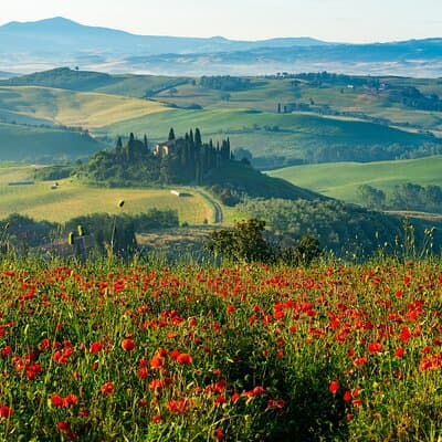 Rome: Tuscany & Montepulciano Day Trip with Lunch & Wine Tasting