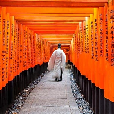 Kyoto One Day Sightseeing Tour from Osaka or Kyoto