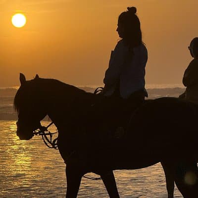 Horseback Riding in Essaouira - Essaouira HorseRiding