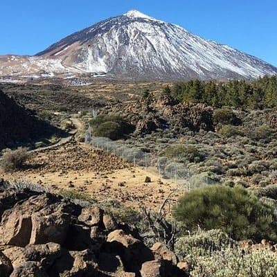 Tenerife Private Guided Tour: Teide National Park