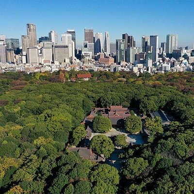 Tokyo: Meiji Shrine Walking Tour — Shintoism & Imperial System