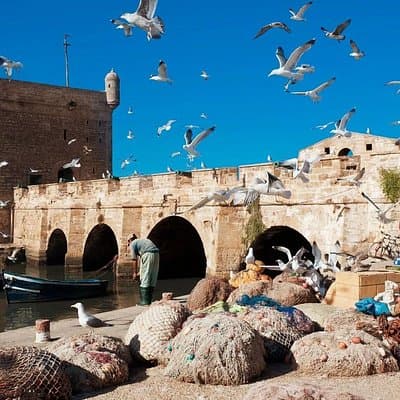 Essaouira day trip from Marrakech