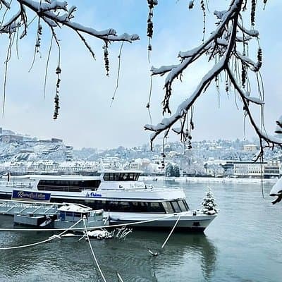 1 hour Christmas cruise with mulled wine around Koblenz
