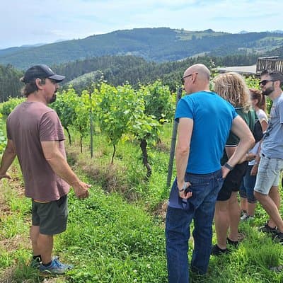 Private Gastronomy tour with tastings from Santander