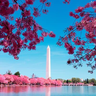 DC in a Day: 10+ Monuments, Boat Cruise, National Mall, Tickets