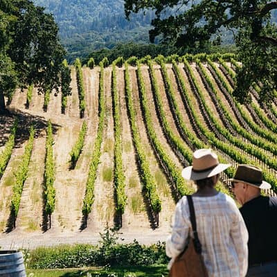 Napa and Sonoma Wine Country Full-Day Tour from San Francisco