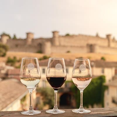 Tasting Discovery 3 Wines