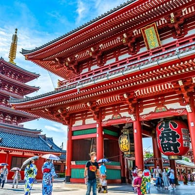 Tokyo Morning Tour : Meiji Shrine, Asakusa and Fish Market