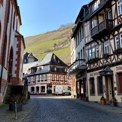 Sip Wine Along the Rhine! Romantic Rhein & Castle Wineries tour
