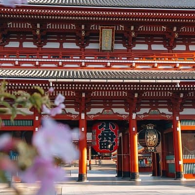 Tokyo Early Morning Tour Asakusa Meiji Shrine Private Opt
