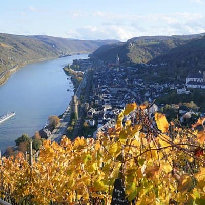Koblenz to UNESCO World Heritage Site Upper Middle Rhine Valley