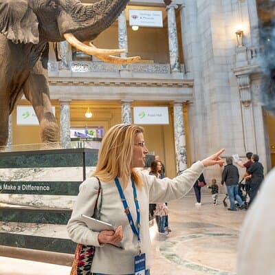 Smithsonian "Big 3" Highlights Tour (Air & Space Entry Included)