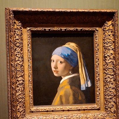 Private Guided City Tour of The Hague & Mauritshuis Museum Entry