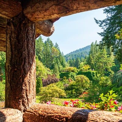 Excursión de un día a Victoria y Butchart Gardens desde Vancouver