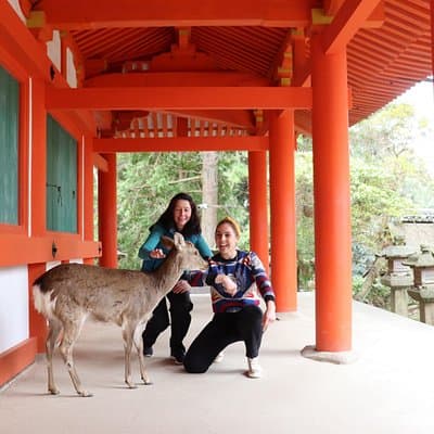 Private Nara Tour and Sake Tasting (Departing from Kyoto/Nara)
