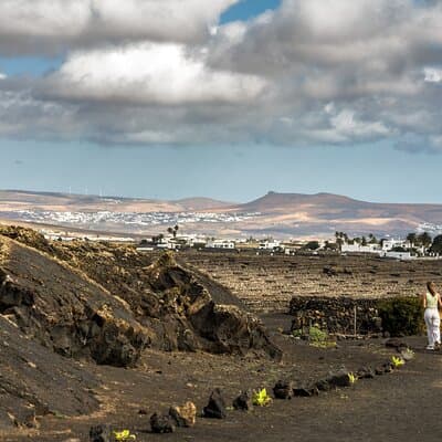Wine Lovers Winery Tour in Lanzarote
