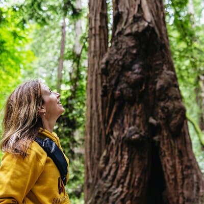Muir Woods and Sausalito Tour (Return by Bus or Ferry)