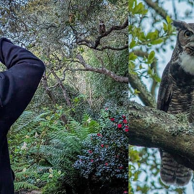 Golden Gate Park Twilight Wildlife Walking Tour