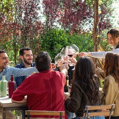 Vineyard walk and wine tasting in l’Empordà