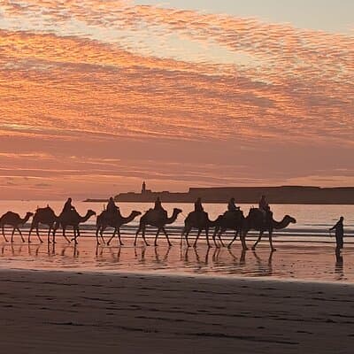 3 hours ride on camel at sunset
