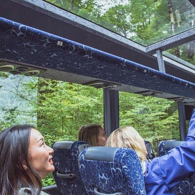 Milford Sound Coach and Cruise tour from Queenstown