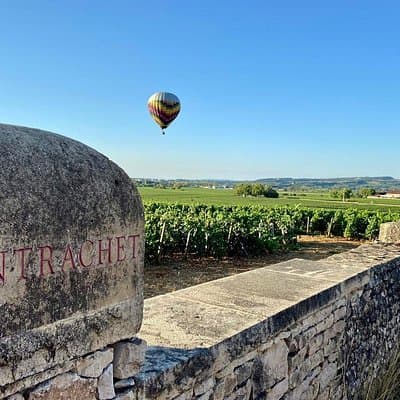 Bespoke Private Burgundy Wine Tour: Exclusive Wines & Wineries
