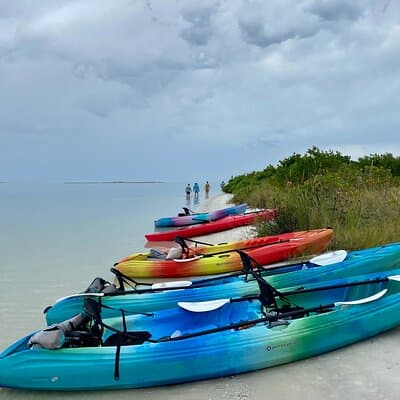 Small Group Kayak Tour of the Shell Key Preserve