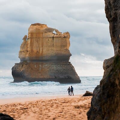 Great Ocean Road 12 Apostles & Rainforest Walk with Morning Tea