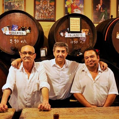 Malaga Wine and Tapas Small Group Guided Tour