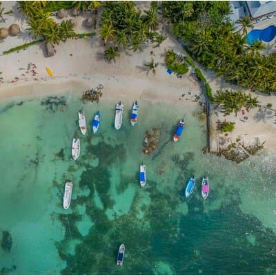 Tulum Ruins, Turtles in Akumal and Cenote tour