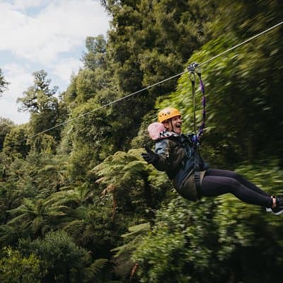 Rotorua Canopy Tours : 2.5Hour Native Forest Zipline Adventure